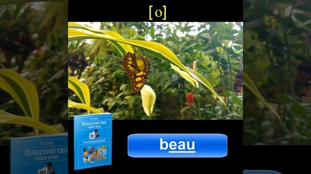 Французский язык. Учимся читать. Учебно-методический тренажёр | Ганчар Наталья Петровна / красивый смотреть онлайн