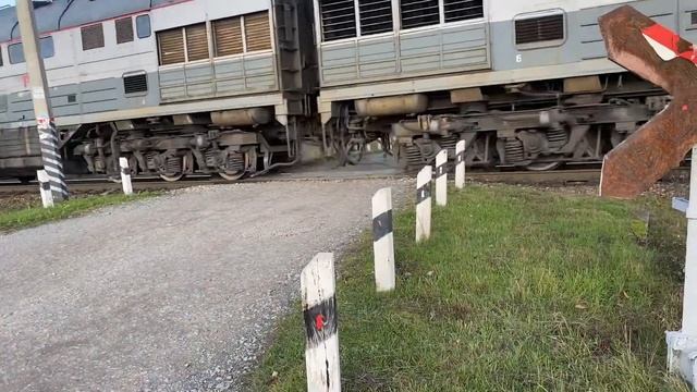 Поезд 2ТЭ116УД-036 едет с жёлтым составом