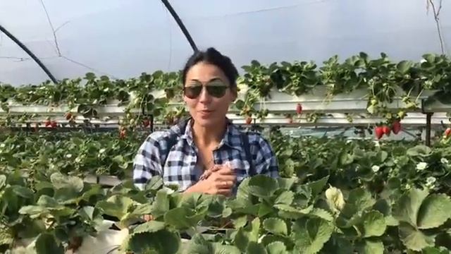 Рецепт #12. Приятная ПОМОЩЬ смотреть онлайн