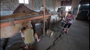 Башkорт аты