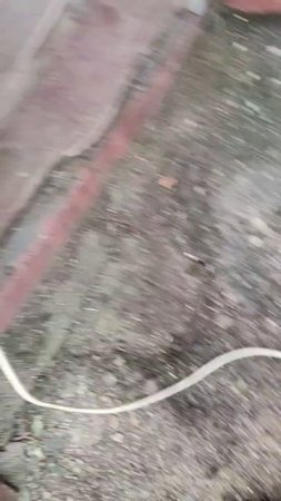 Стол для дисковой пилы