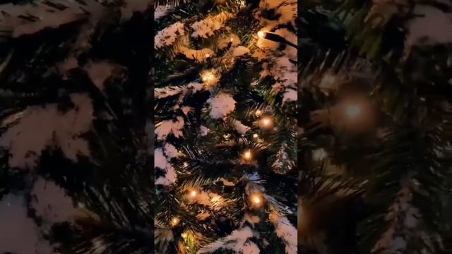 31 декабря 2023 г. смотреть онлайн