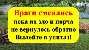 Вылейте в унитаз воду с солью, порча, ругань и все зло навсегда уйдут из вашего дома