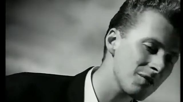 Black Wonderful Life смотреть онлайн