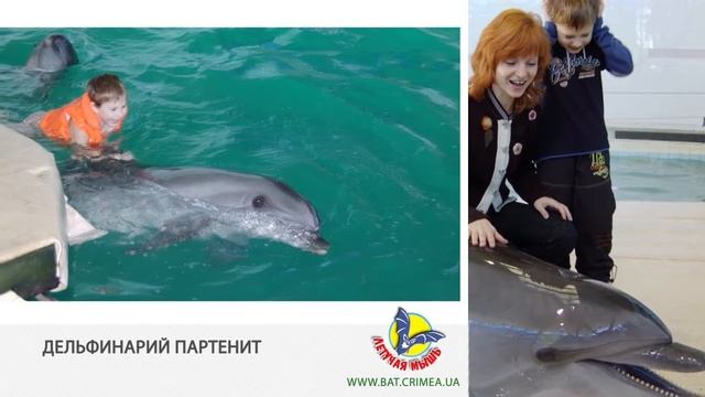 Экскурсии для детей смотреть онлайн