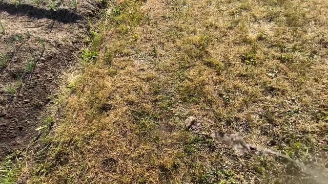 Vlog практика в школе 😭 Back to praktika school 🏫💞 смотреть онлайн