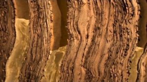 Уникальные свойства ВОДЫ