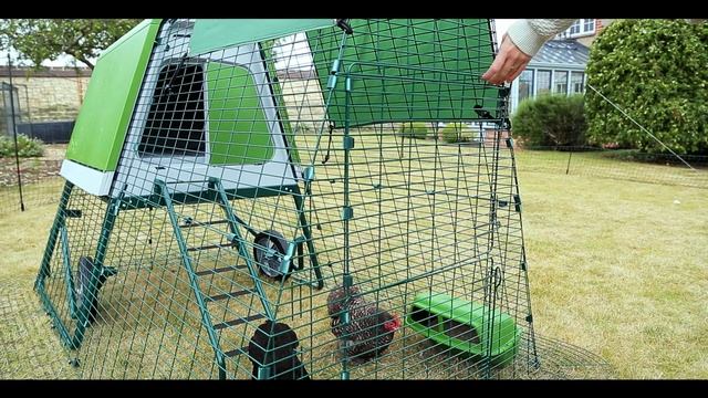 Eglu Go Up - bezpieczny i wygodny nowoczesny kurnik|Polska смотреть онлайн