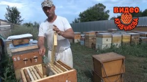 Видео Кривчикова.  Карника. Откачка.