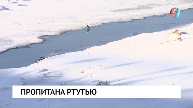 Пропитана ртутью