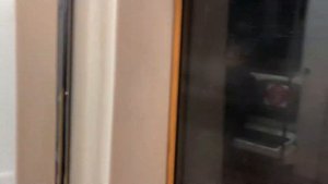 От станции "Битцевский парк" до станции "Бунинская аллея" на поезде "Русич"& лифт//5декабря 2020год