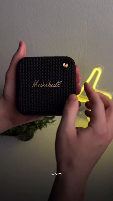 Marshall Willen - Король вечеринок! #marshall смотреть онлайн