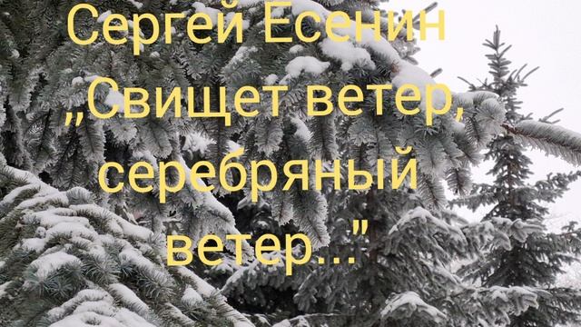 Сергей Есенин ,,Свищет ветер, серебряный ветер..."
стихи смотреть онлайн