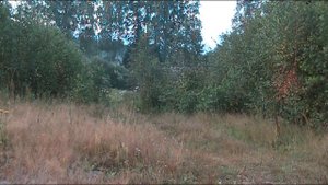 Прожектор шарит осторожно по пригорку. Всем большой привет. А это песня их х/ф "Щит и меч".