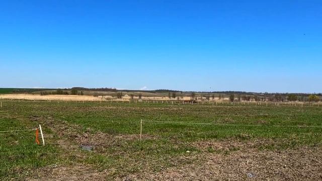 Посев горчицы, сварка ферм для теплиц, заливка фундаментов на "Изумрудном"