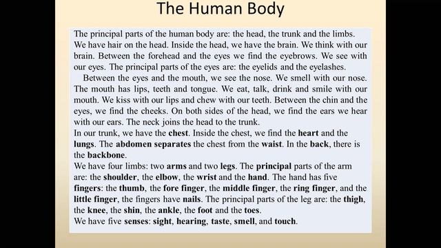 Иностранный язык, Нестерова С.В., СР 9-20 смотреть онлайн