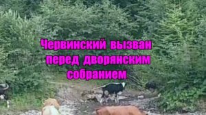 КРЕПОСТНАЯ 47 СЕРИЯ (2 сезон) Сюжет и описание