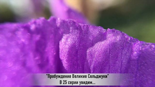 ПРОБУЖДЕНИЕ ВЕЛИКИЕ СЕЛЬДЖУКИ 25 серия РУССКАЯ ОЗВУЧКА