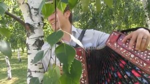 Игорь Шипков - Разбросала косы русые береза