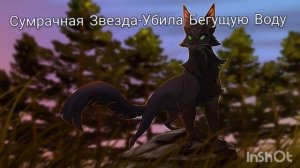 ТОП 7 КОТОВ КОТОРЫЕ УБИВАЛИ/КОТЫ-ВОИТЕЛИ