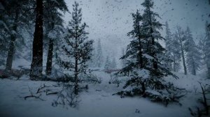 Шум ветра и белый шум в зимнем лесу