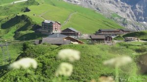 Мэннлихен 🇨🇭 Панорамная тропа к Кляйне Шайдегг с эпическими видами, Швейцария 4K