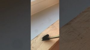 Опыт Гребенникова В.С Правда или Миф