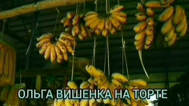 РЕАКТИВНЫЙ МОЗГ ВРЕДИНЫ. VREDINA LIFE. ОБЗОР ВЛОГА. смотреть онлайн