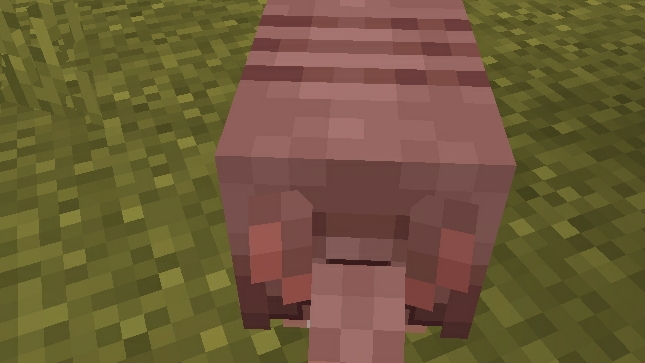 Lp.Тайные земли.#2.дом