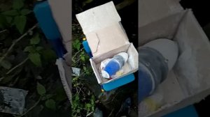 обработка голубятни.