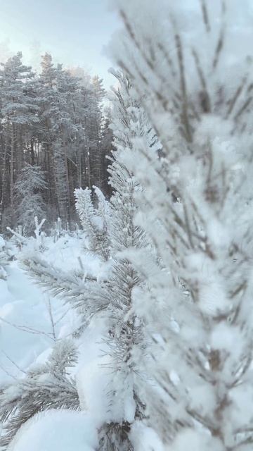 Все самое ценное и нужное я смогу сделать смотреть онлайн