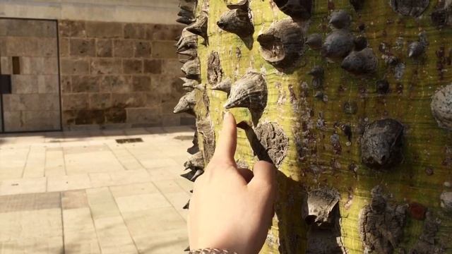 Даша По-испански: День 1: Прилетела в Малагу смотреть онлайн