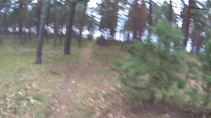 Учить таблицу просто. Наш секрет. Испугала папу. Прогулка по лесу.