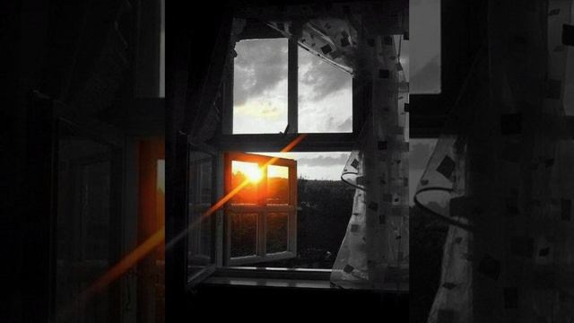 негатив.mp4