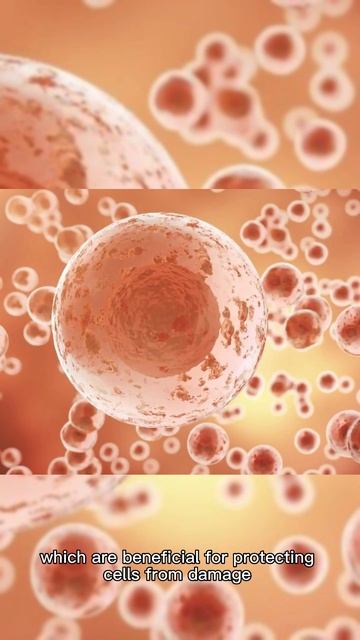 Benefits of eating sauerkraut смотреть онлайн