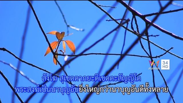 Morning Buddhist morning Chanting on Amarin TV HD смотреть онлайн
