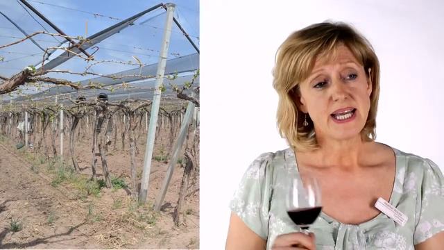 Opi Malbec - Long смотреть онлайн