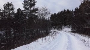 МИР ПРИРОДЫ. КОРОТКИЙ ФИЛЬМ О ПРИРОДЕ.