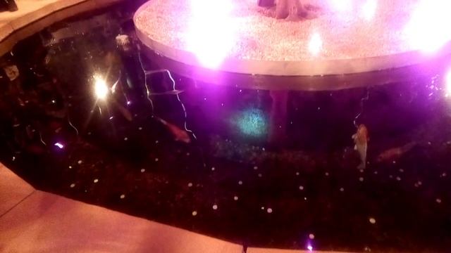 Прогулка в Парке Галицкого перед новым 2025-м годом