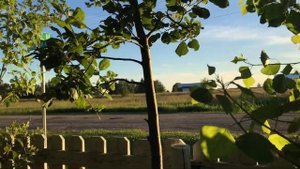 Сообщение для всех русских немцев