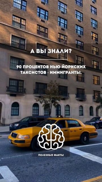 Удивительные факты. Часть 3. #факты #интересныефакты #факт #удивительныефакты #человек смотреть онлайн