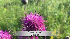 СЛОВО ЧЕСТИ 2 серия русская озвучка ДАТА ВЫХОДА И АНОНС турецкий сериал