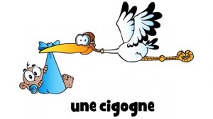 урок французского языка # une cigogne