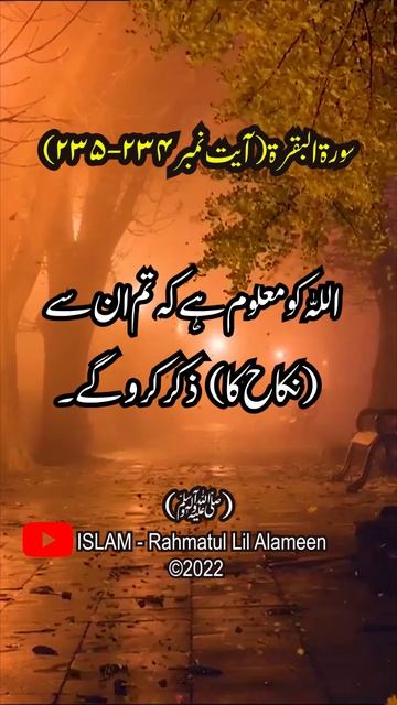 Surah Al Baqarah (Verse# 234-235) Urdu, Hindi Translation, #shorts @islam63official смотреть онлайн