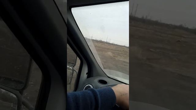 Рождение категории С . смотреть онлайн