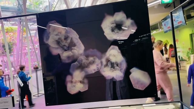 День российской науки в Зарядье / «Менделеев Центр» смотреть онлайн