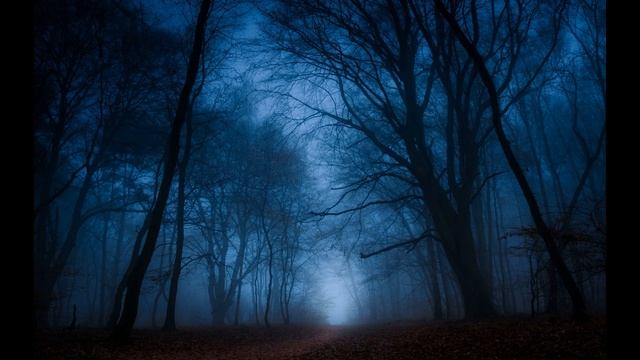 САМЫЕ ЛУЧШИЕ И СТРАШНЫЕ ИСТОРИИ-НОЧНЫЕ ШОРОХИ