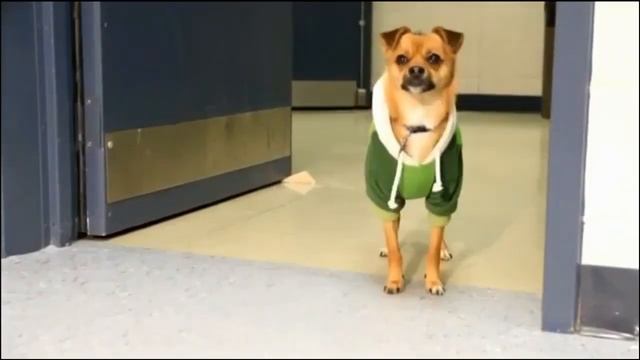 Тема 59. Наша школа смотреть онлайн