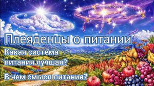 Плеяденцы о питании