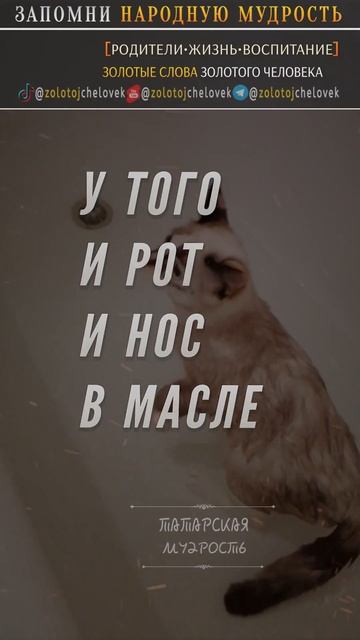 Кто вскормил без матери, Народная Мудрость смотреть онлайн